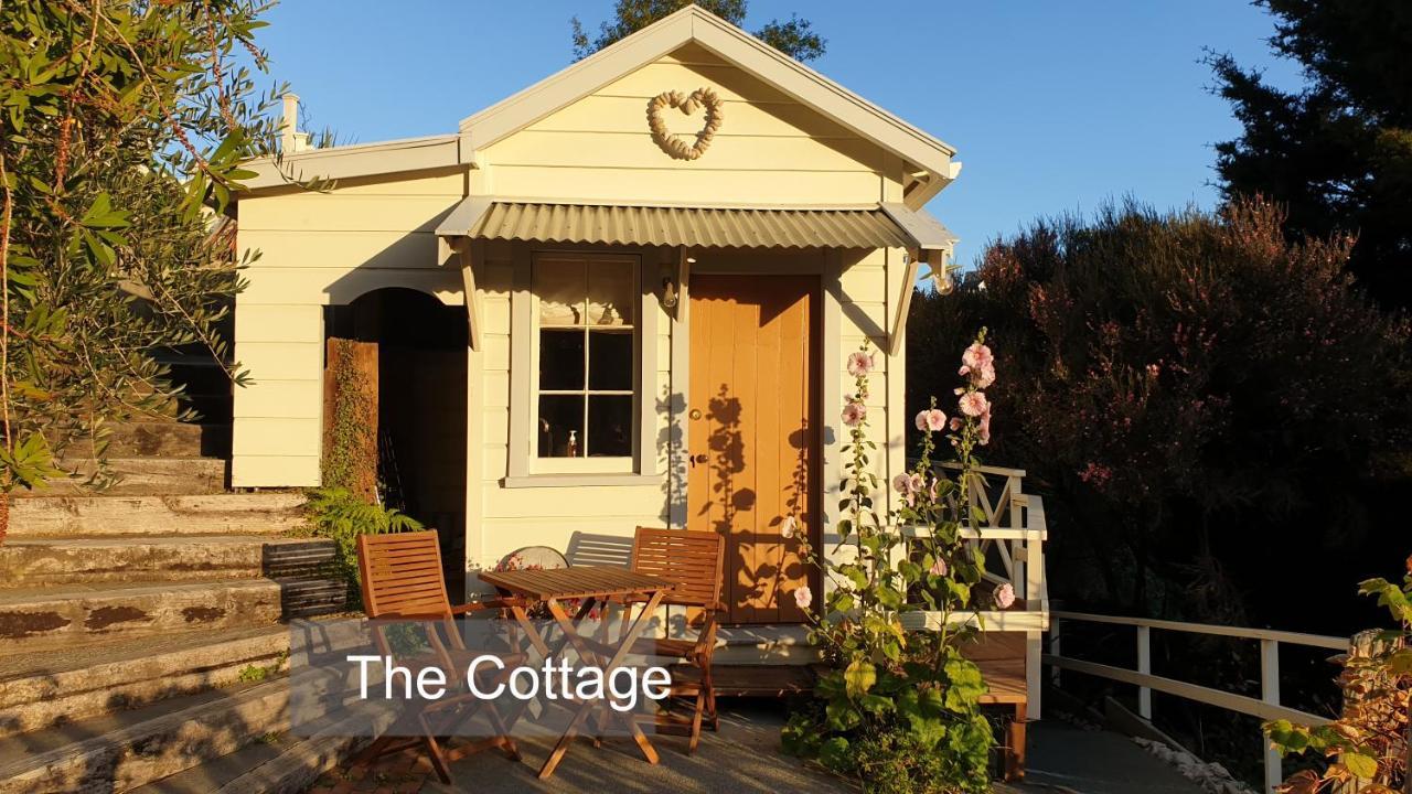 Bluff Hill Bed & Breakfast Napier Buitenkant foto